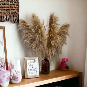 Natural Pampas Grass- 3 Stems